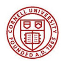 Cornell University Fellowships for International Applicants in USA, 2017-2019