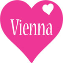Vienna Doctoral Studentship for International Applicants in Austria, 2017
