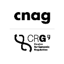 CRG PhD Fellowship in Structural Genomics for International Students in Spain