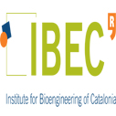 Postdoctoral Fellowships Junior Leader La Caixa at IBEC in Spain