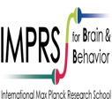 Fully Funded PhD Scholarship in Neuroscience at IMPRS for Brain and Behavior