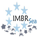 IMBRSea International Master Scholarship in Marine Biological Resources in Italy