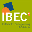 IBEC Master Scholarships for International Students in Spain