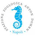 Anton Dohrn International Zoological Station PhD Scholarship Program in Italy