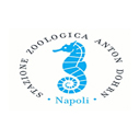 PhD Scholarship for International Students at Anton Dohrn Zoological Station Naples in Italy