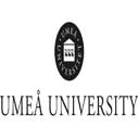 Postdoctoral Research Position in Theology at Umeå University, Sweden