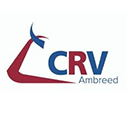 CRV AmBreed international awards in New Zealand