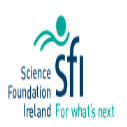 SFI Industry RD&I Fellowship Programme 2023