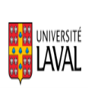 Occupational Balance Scholarship at Laval University 2023