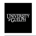 International Undergraduate Entrance Scholarships at University of Guelph 2023