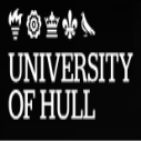 Artificial Intelligence and Data Science Bursaries at University of Hull