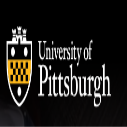 Chinese Studies Tuition Remission Scholarship at University of Pittsburgh 2024