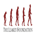 Leakey Foundation Research Grants 2024