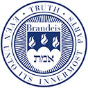  Sidney Topol Fellowship 2020 at Brandies University in the United States