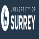 University of Surrey For International students Vice Chancellor’s Future Leaders Awards in UK