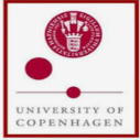 48 International PhD fellowships in Theoretical Catalysis, Denmark