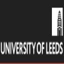 University of Leeds Mangoletsi-Potts International Scholarship in UK