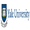 Yale Peace Fellowship 2026 Fully Funded to USA