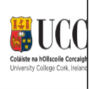 College of Arts, Celtic Studies and Social Sciences International Merit Based Scholarships, Ireland