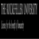 Rockefeller University USA Summer Fellowship 2025 (Fully Funded)