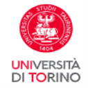 University of Turin Annual International Scholarships in Italy