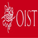 2) OIST Japan Internship Program 2025 (Fully Funded)