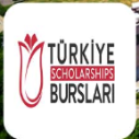 Turkey Burslari Scholarships Application Status