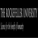 Rockefeller University USA Summer Fellowship 2025 (Fully Funded)