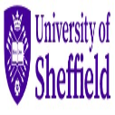 Delhi Public School Society (DPS) Undergraduate Merit Scholarship at University of Sheffield, UK