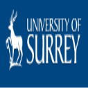 University of Surrey International Excellence Awards in UK