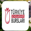 Turkiye Burslari Scholarship At Glance