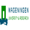 International PhD Position in Socio-economic Aspects and Implementation of Hydrogen, Netherlands