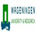 International Postdoctoral Positions in Cellular Agriculture, Netherlands