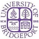 Full Scholarship for International Students at University of Bridgeport in USA
