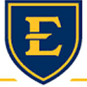 East Tennessee State University Merit Scholarships in USA