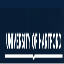 Hawk International Scholarship at University of Hartford