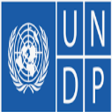 UNDP Digital Transformation Internship 2025