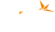 Trips.pk